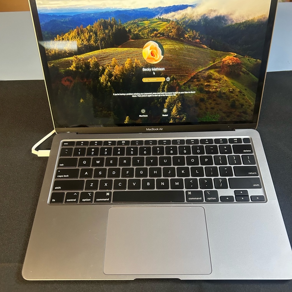 MacBook Air, Model A2179, Space Gray - Picture 4 of 4